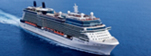 Celebrity Reflection
