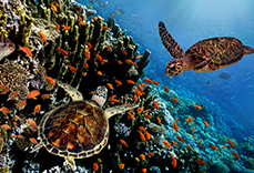 Programme xperiential travel